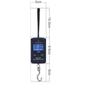 40kg X 10g Mini Digital Scale for Fishing Luggage Travel Weighting Steelyard Hanging Electronic Hook Scale, Kitchen Weight Tool